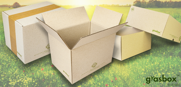 klein_GrasBox_Wiese_logo2.png