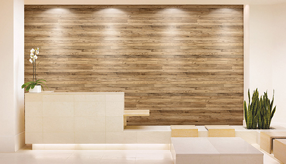 news_coala_interior_film03_590x339.jpg