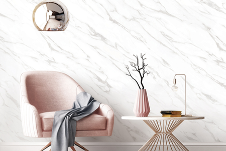 Coala Interior Film.jpg