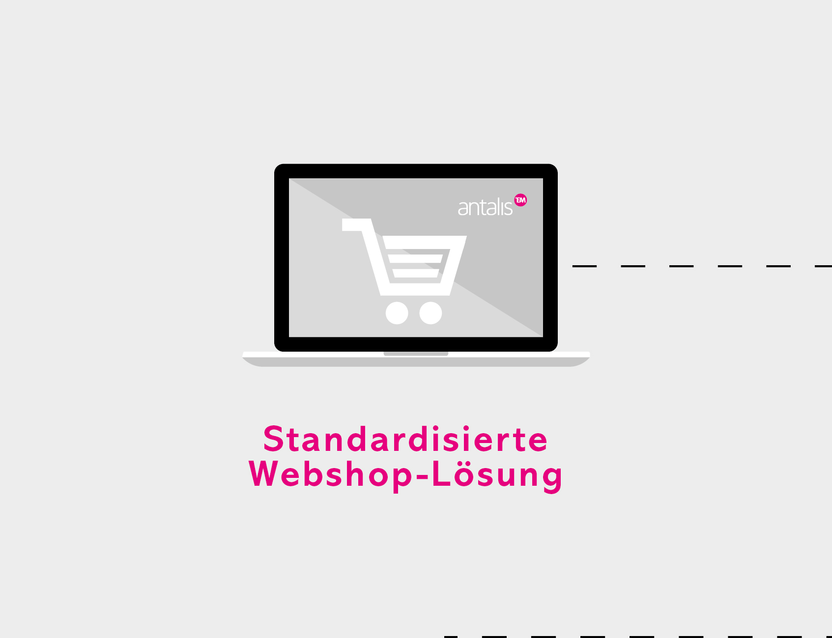 Bild Standardisierte Webshop-Lösungen