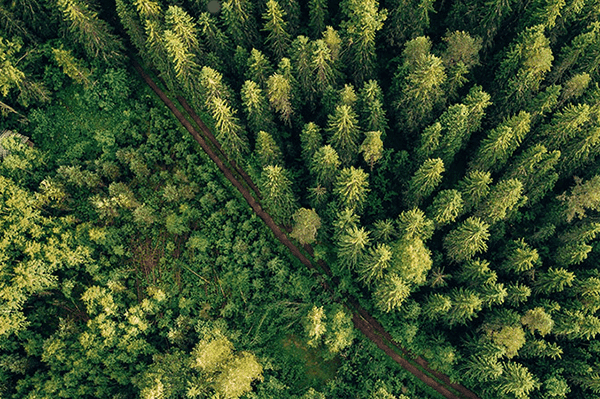 Green_Downloads_600x399.png