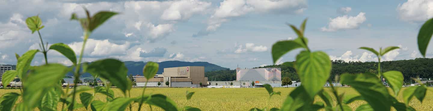 Banner_antalis_schweiz_1440x370.jpg