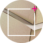 PDT_5_eco_responsible_product.png
