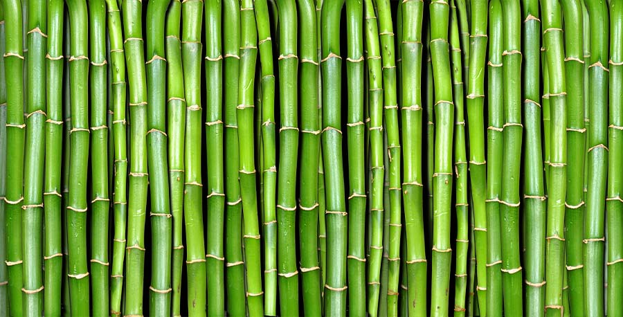 Plastic-alternatives