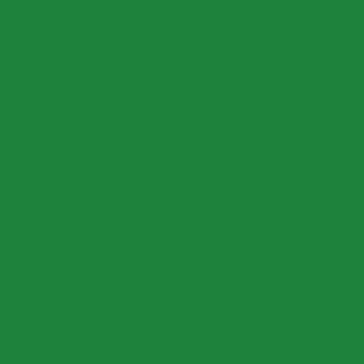 3M Scotchcal 3630-156 vivid green