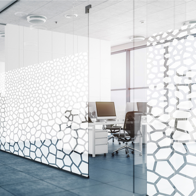 Coala Windows Decor Gradiation