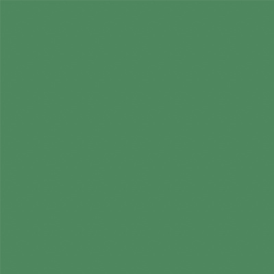 506 vert cactus brillant