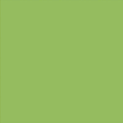 531 citron vert mat