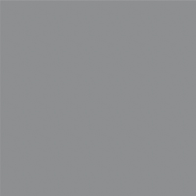546 silber glänzend