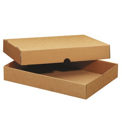Formatschachtel Master'in Access, 453 x 323 x 80 mm | Antalis CH