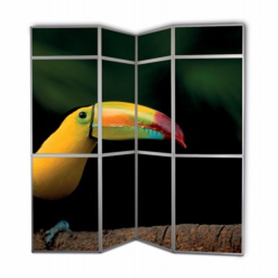 Coala Promo PANEL