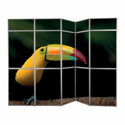 Coala Promo PANEL