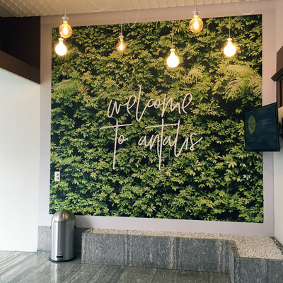 Coala DecoWall S