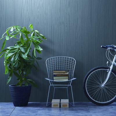 Coala Interior Film Metallic