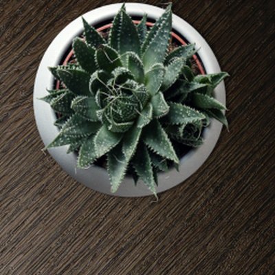 Coala Interior Film Metallic