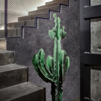 Coala Interior Film Natural Stone