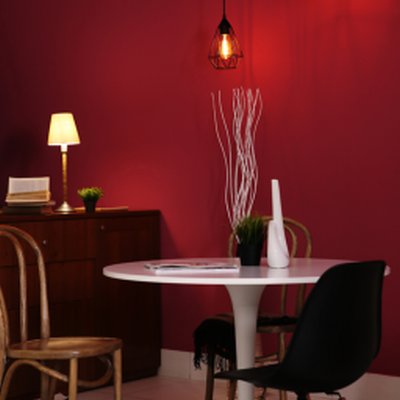 Coala Interior Colours