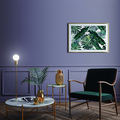Coala Interior Colours