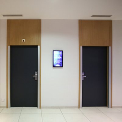 Coala Interior Colours