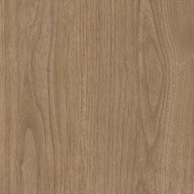 Coala Interior Film Wood