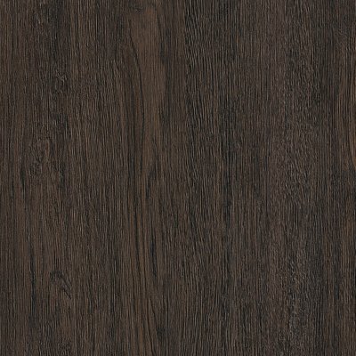 Coala Interior Film Wood