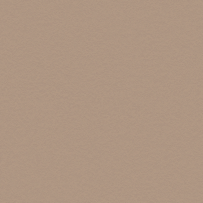 Coala Interior Film NH12