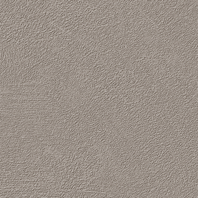 Coala Interior Film NH13