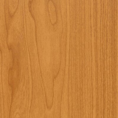 Coala Interior Film Wood