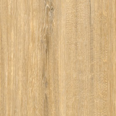 Coala Interior Film Wood