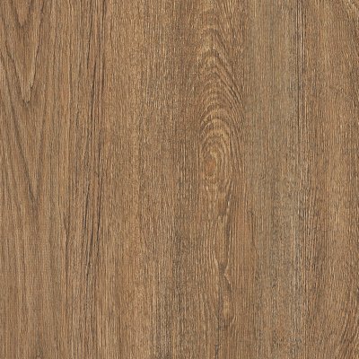 Coala Interior Film Wood