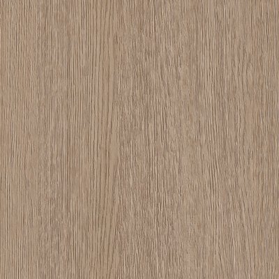 Coala Interior Film Wood