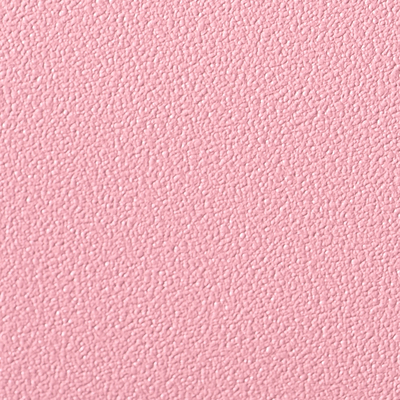 Coala Interior Colours