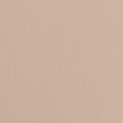 Coala Interior Colours