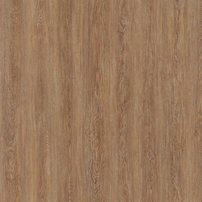 Coala Interior Film Wood