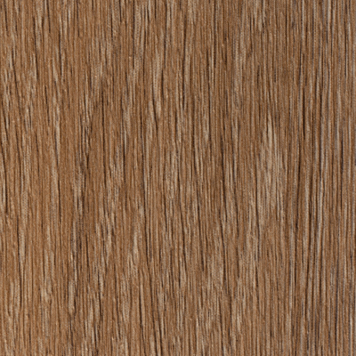Coala Interior Film Wood