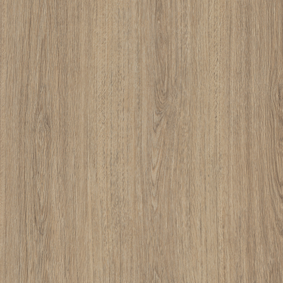 Coala Interior Film Wood