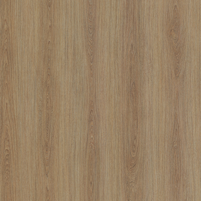 Coala Interior Film Wood