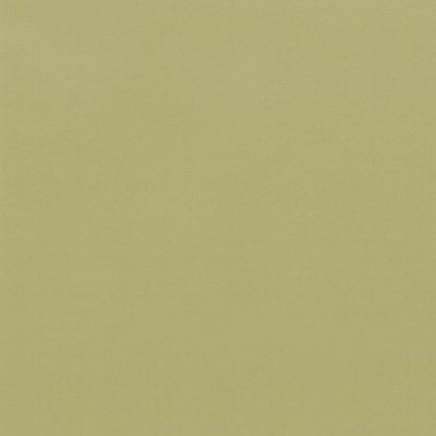 Coala Interior Colours