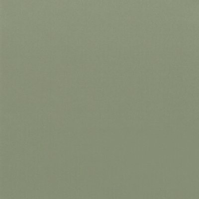 Coala Interior Colours