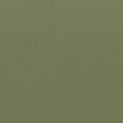 Coala Interior Colours
