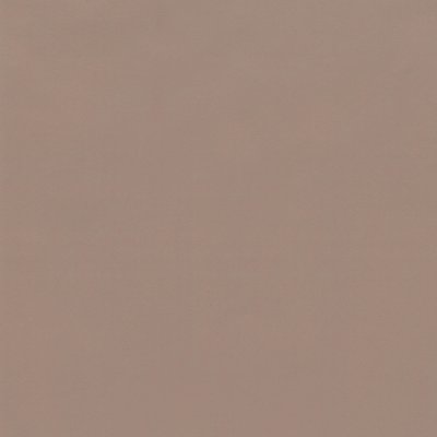 Coala Interior Colours