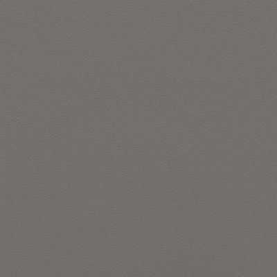 Coala Interior Colours
