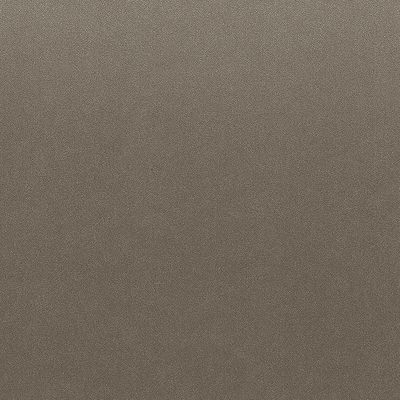 Coala Interior Film NH62