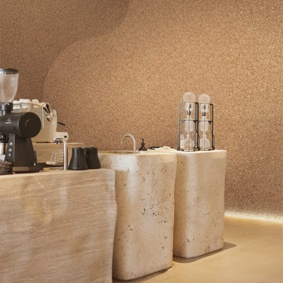 Coala Interior Film WI02 APPLI1