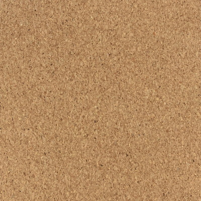 Coala Interior Film WI01