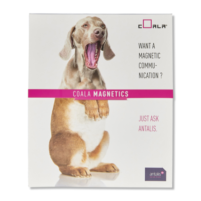 Coala Ferro Canvas