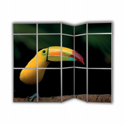 Coala Promo PANEL