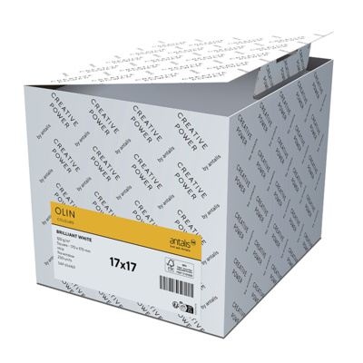 Olin Colours Enveloppes