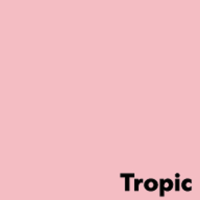 Image Coloraction A4 Tropic/hellrosa