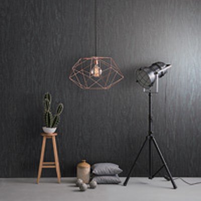 Coala Interior Film Wood